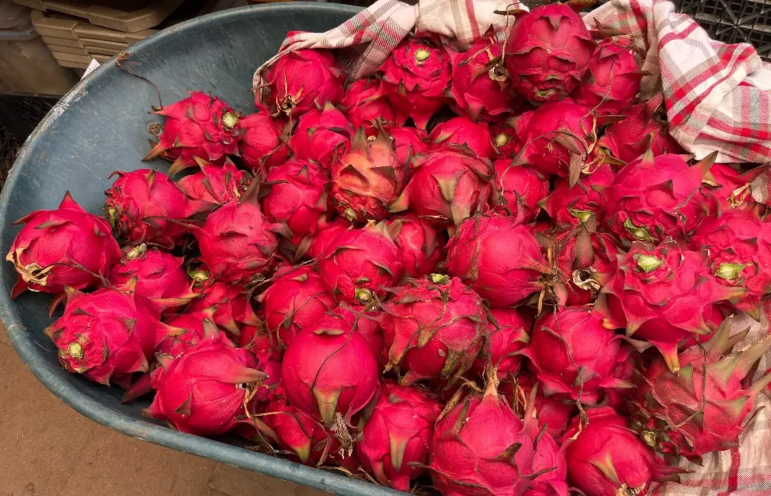 農家樂